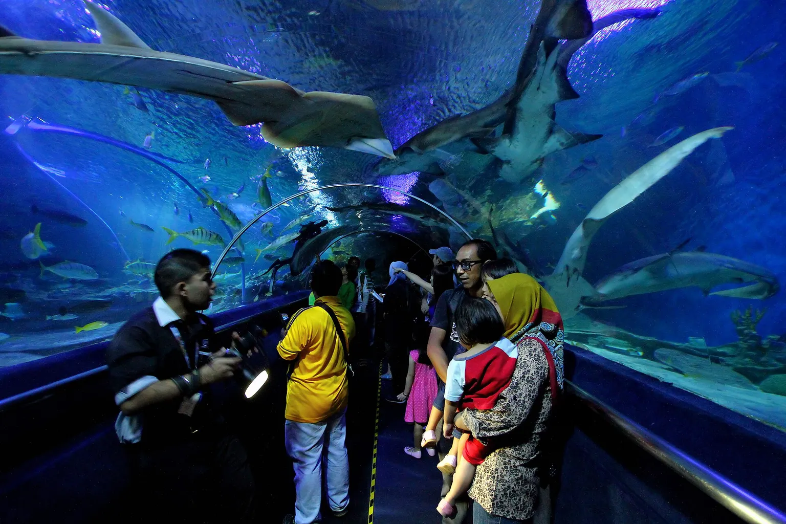 Aquaria KLCC tarifs : faut-il réserver ses billets en ligne ?