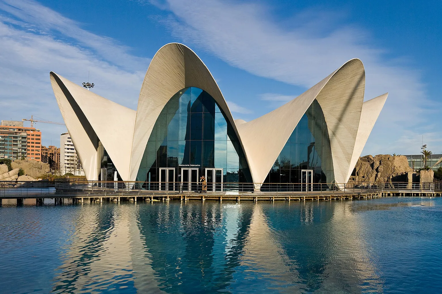 Oceanogràfic visite : astuces pour éviter la foule à València