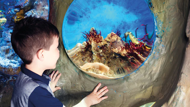 SEA LIFE Blackpool