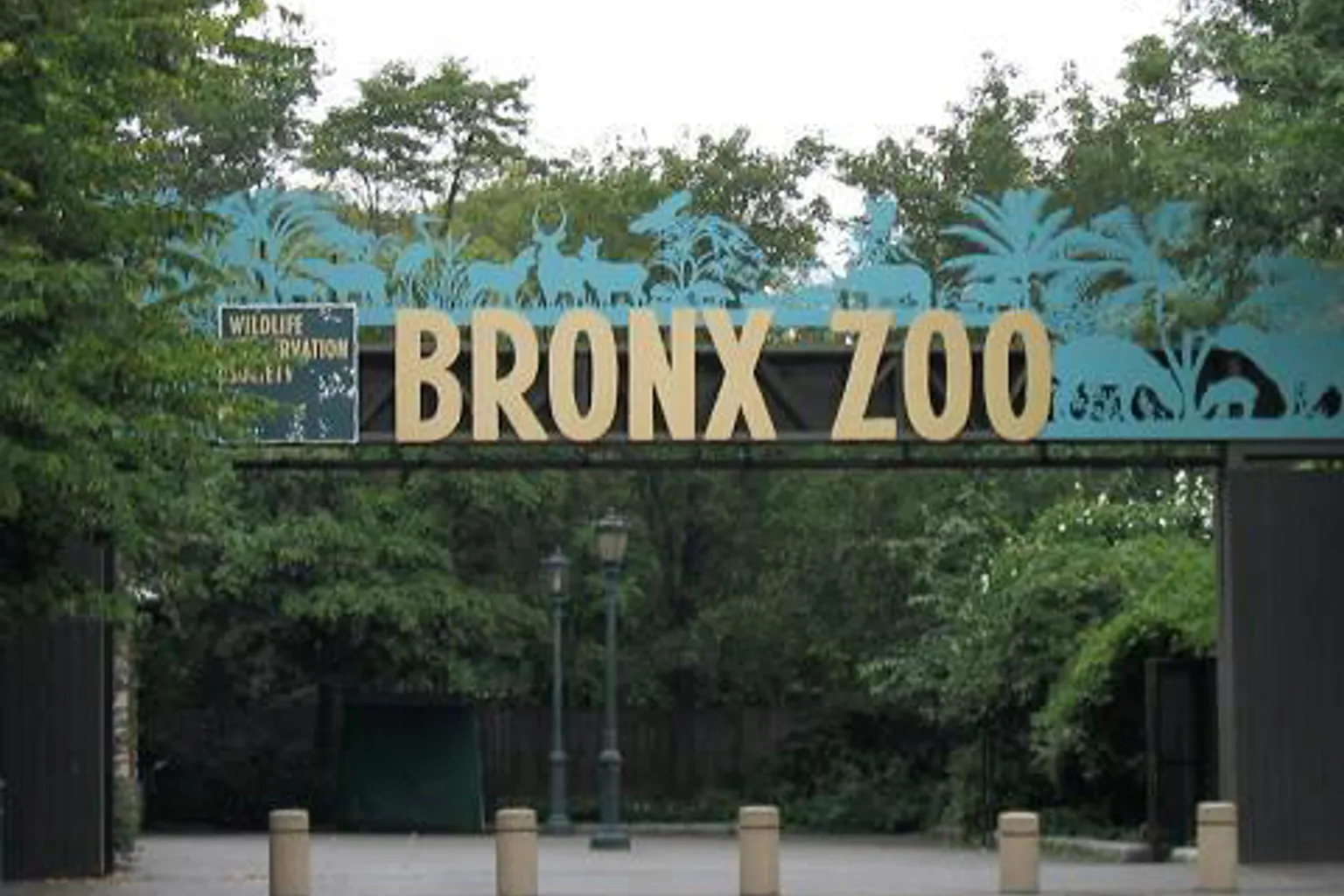 Zoo du Bronx visite : le grand match face à Central Park